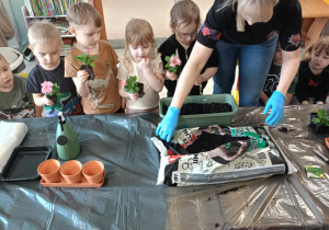 Dzieci zakładają wiosenny ogródek.