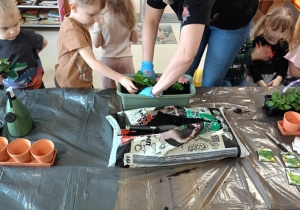 Dzieci zakładają wiosenny ogródek.