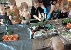 Dzieci zakładają wiosenny ogródek.