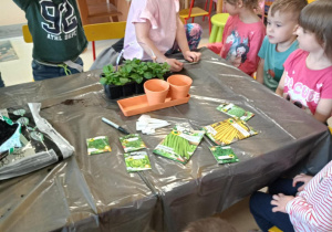 Dzieci zakładają wiosenny ogródek.