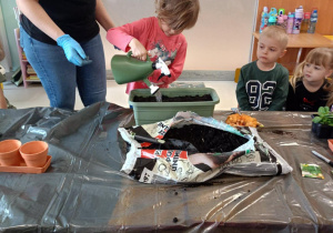 Dzieci zakładają wiosenny ogródek.