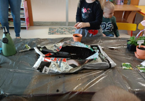 Dzieci zakładają wiosenny ogródek.