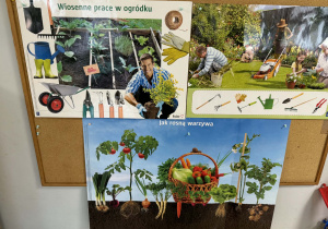 Plansze pokazujące pracę ogrodnika.