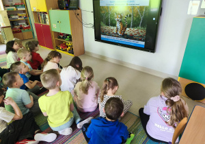 "Tygrysek", jako ekspert od energii i granic.