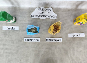 "Dieta przyjazna planecie" - zajęcia popołudniowe.