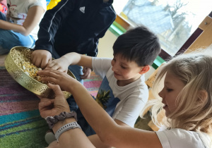 Mieszamy wszystkie nasiona roślin strączkowych na tacy.