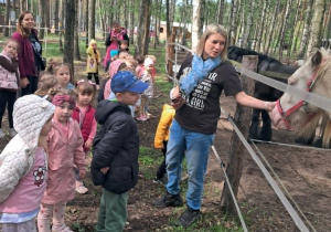 Dzieci poznają różne rasy kuców poprzez bezpośredni kontakt.