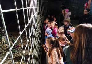 Zwiedzamy interaktywną wystawę, w której oglądaliśmy narodziny dinozaura oraz wybuch wulkanu.