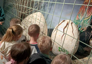 Zwiedzamy interaktywną wystawę, w której oglądaliśmy narodziny dinozaura oraz wybuch wulkanu.