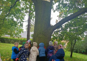 Dzieci przytulają się do drzewa.