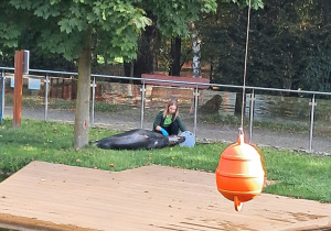 Trening i karmienie foki o imieniu Dawid w ZOO w Borysewie.