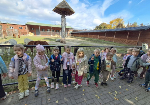 Przedszkolaki zwiedzają pieszo ZOO w Borysewie.