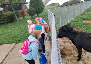 Przedszkolaki zwiedzają pieszo ZOO w Borysewie.