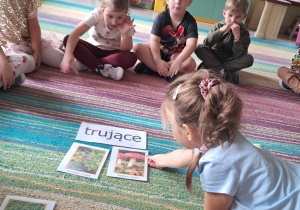 Segregujemy ilustracje roślin na: trujące i jadalne.