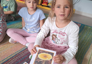 Segregujemy ilustracje roślin na: trujące i jadalne.