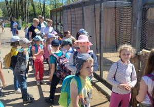 Dzieci z "Wiewiórek" ogladają zwierzęta w mini zoo